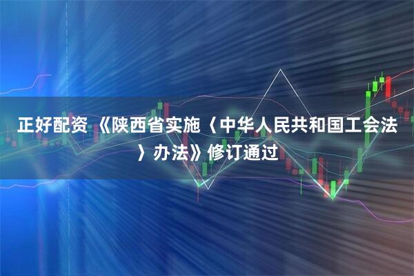 正好配资 《陕西省实施〈中华人民共和国工会法〉办法》修订通过