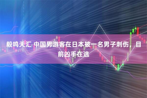 毅鸣天汇 中国男游客在日本被一名男子刺伤，目前凶手在逃