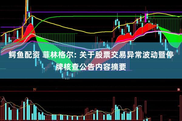鳄鱼配资 菲林格尔: 关于股票交易异常波动暨停牌核查公告内容摘要