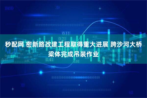 秒配网 密新路改建工程取得重大进展 跨沙河大桥梁体完成吊装作业