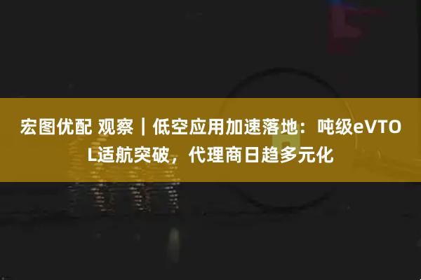 宏图优配 观察｜低空应用加速落地：吨级eVTOL适航突破，代理商日趋多元化
