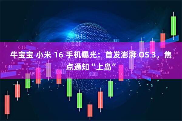 牛宝宝 小米 16 手机曝光：首发澎湃 OS 3，焦点通知“上岛”