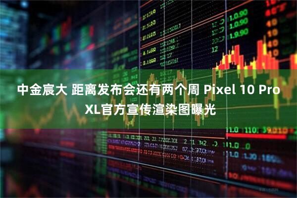 中金宸大 距离发布会还有两个周 Pixel 10 Pro XL官方宣传渲染图曝光