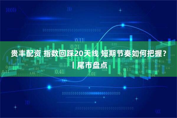 贵丰配资 指数回踩20天线 短期节奏如何把握？丨尾市盘点
