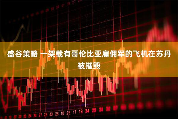 盛谷策略 一架载有哥伦比亚雇佣军的飞机在苏丹被摧毁