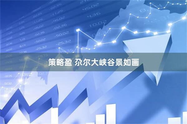 策略盈 尕尔大峡谷景如画