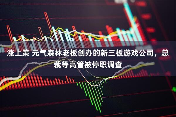 涨上策 元气森林老板创办的新三板游戏公司，总裁等高管被停职调查