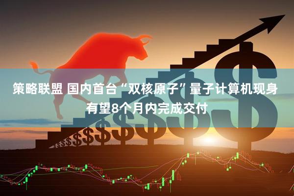 策略联盟 国内首台“双核原子”量子计算机现身 有望8个月内完成交付